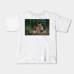 Lion In The Grass Kids T-Shirt